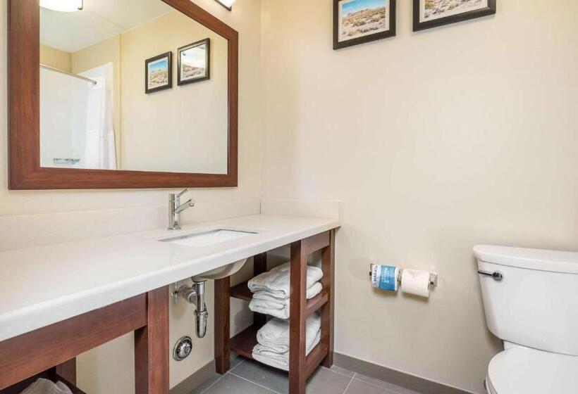 Отель Comfort Inn Tonopah