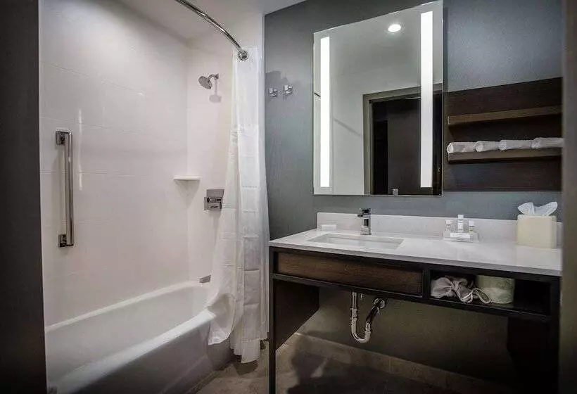 ホテル Hilton Garden Inn West Palm Beach I95 Outlets