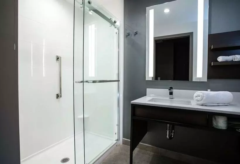 ホテル Hilton Garden Inn West Palm Beach I95 Outlets