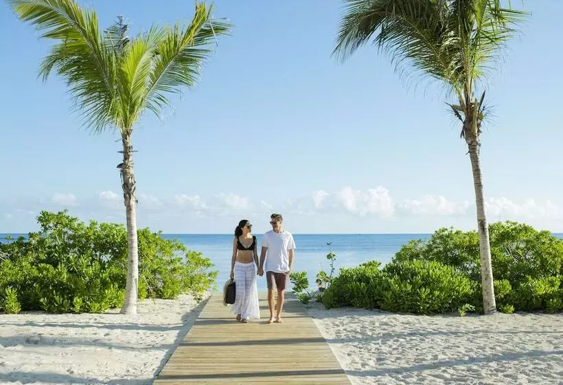 هتل Excellence Oyster Bay   Adults Only All Inclusive