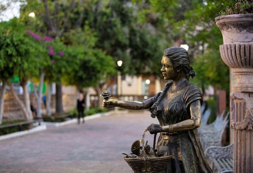 فندق Hyatt Place Aguascalientes Bonaterra