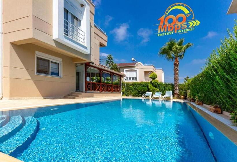 Paradise Town Villa Premium