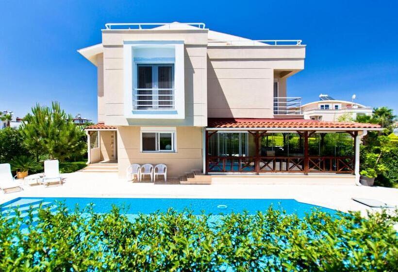 Paradise Town Villa Premium