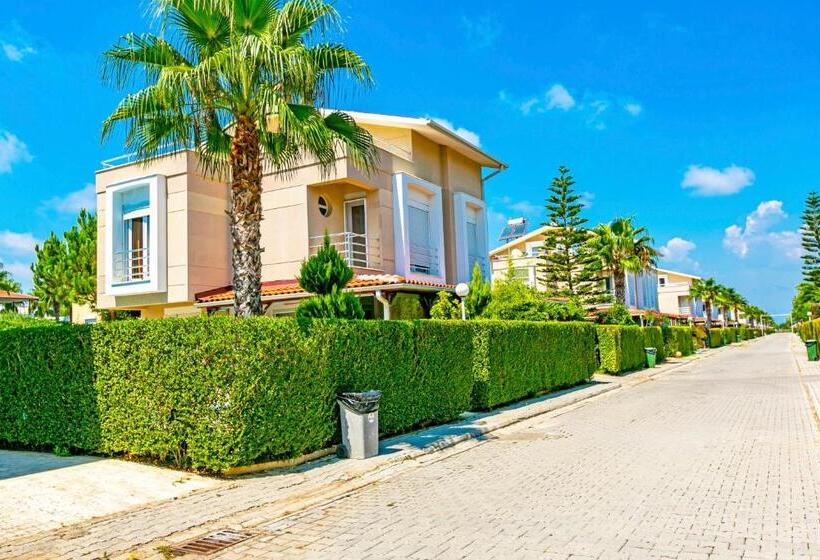 Paradise Town Villa Premium