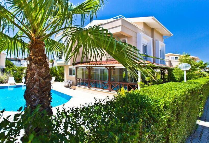 Paradise Town Villa Premium