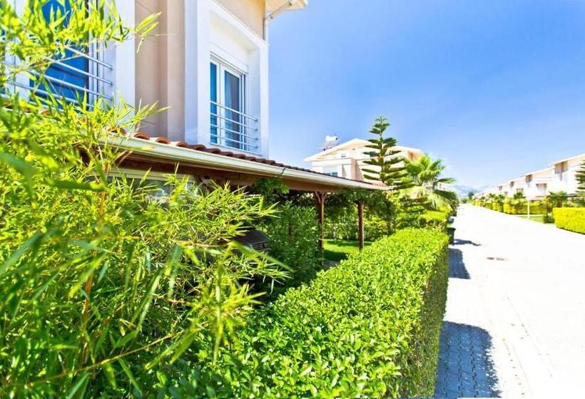 Paradise Town Villa Premium