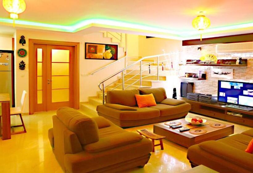 Paradise Town Villa Premium