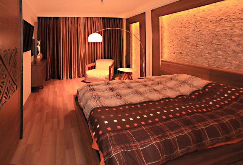 Paradise Town Villa Premium