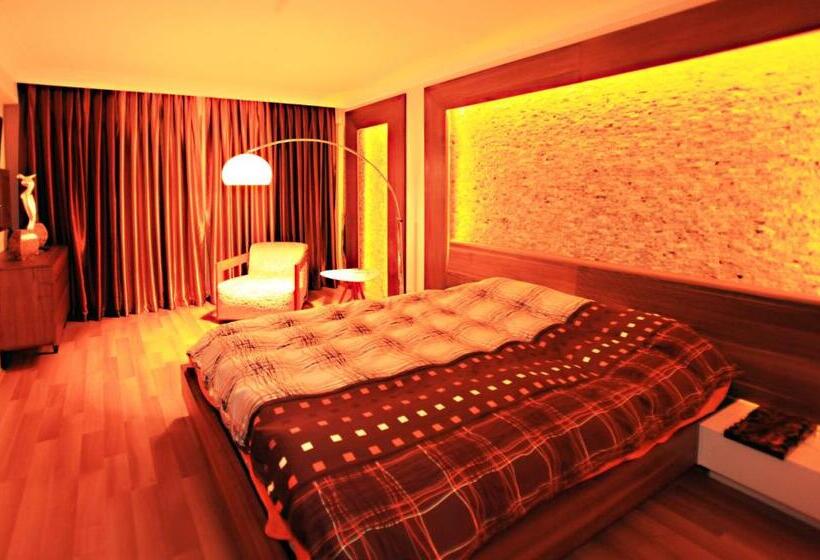 Paradise Town Villa Premium