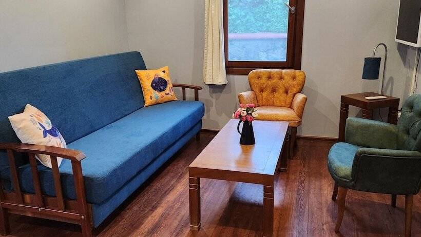 Hotel Bodrum Stone House