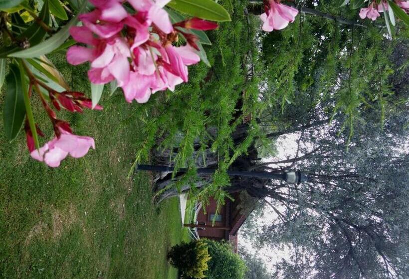 酒店 Kervan Tatil Köyü