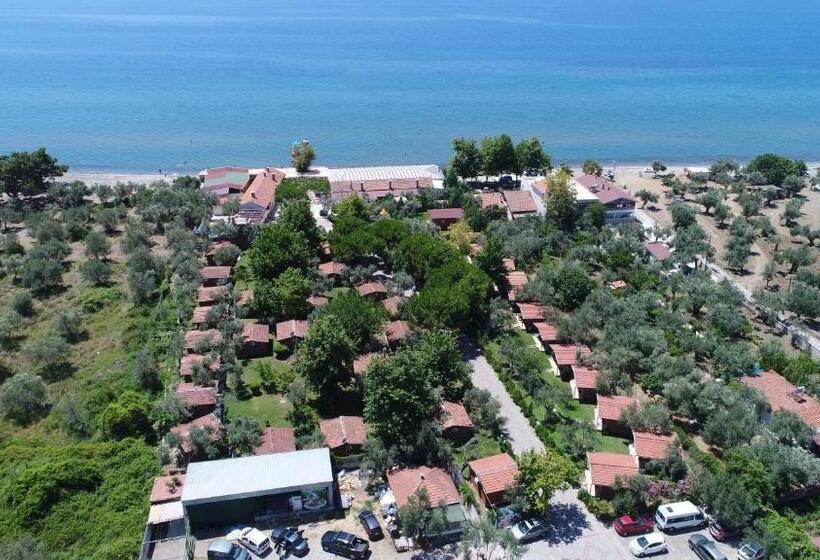 酒店 Kervan Tatil Köyü