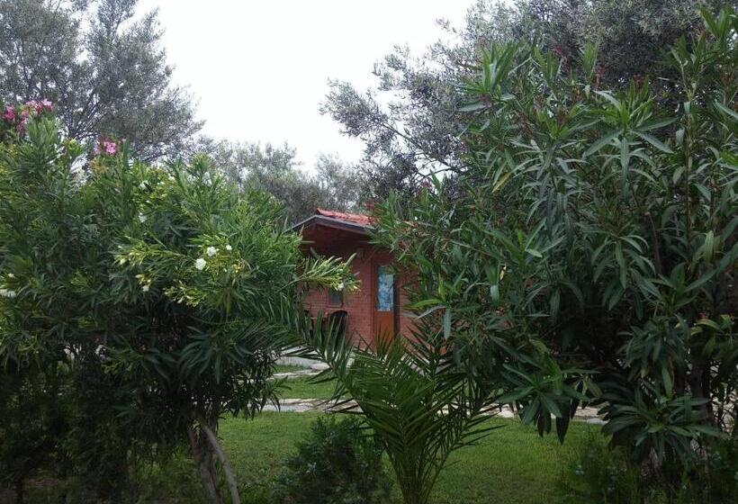 酒店 Kervan Tatil Köyü