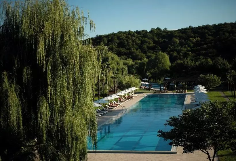 هتل Lopota Lake Resort & Spa