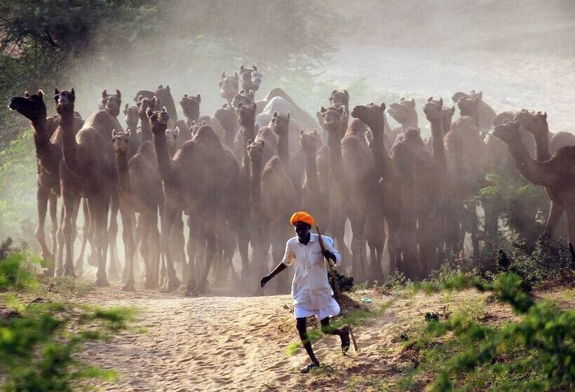 فندق Royal Rawat Palace