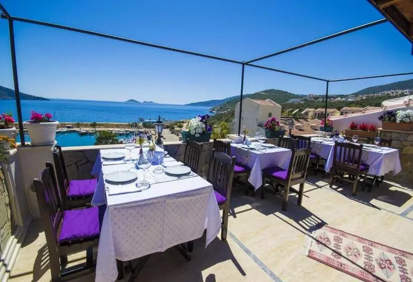 Kleo Boutique Otel Kalkan
