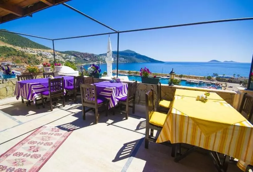 Kleo Boutique Otel Kalkan
