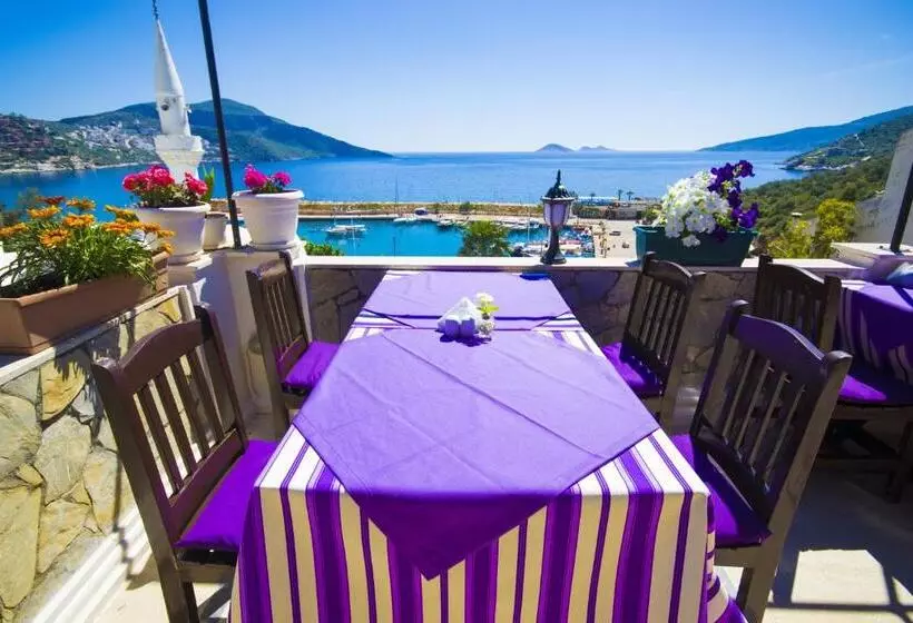 Kleo Boutique Otel Kalkan