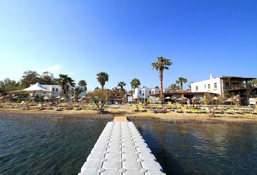 Ladonia Onderhan Hotel   All Inclusive