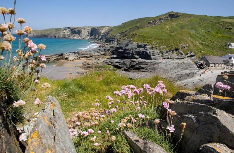 ユースホステル Port William Inn