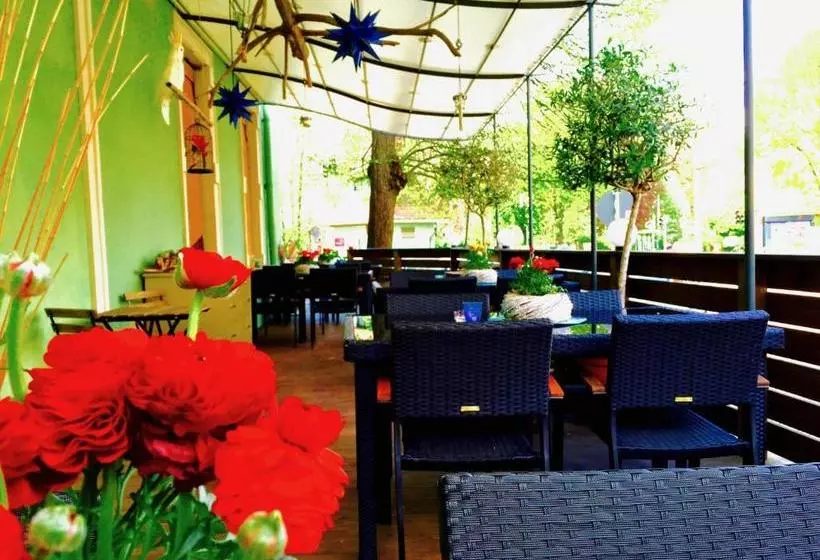 Zu Den Linden   Radebeul Pension Mit Restaurant