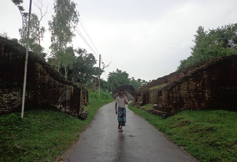 בית מלון כפרי Momo Inn