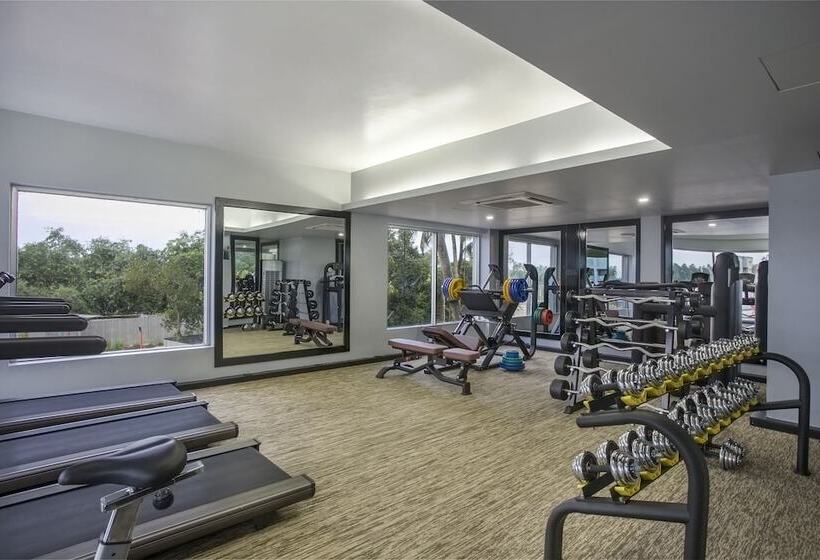 בית מלון כפרי Momo Inn