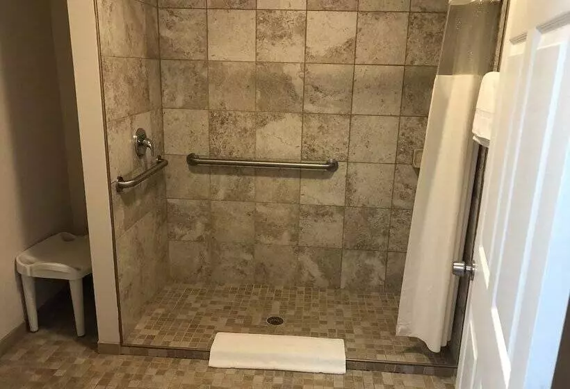 ホテル Rodeway Inn & Suites
