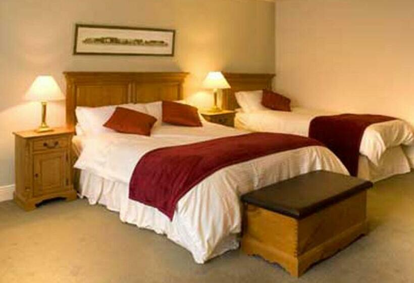 بنسيون Ballycannon Lodge