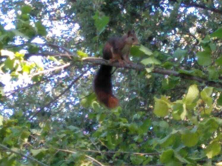 Pensión Rural Arroyo La Teja