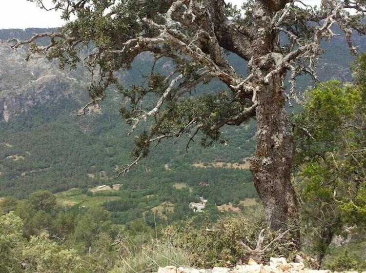 Pensión Rural Arroyo La Teja