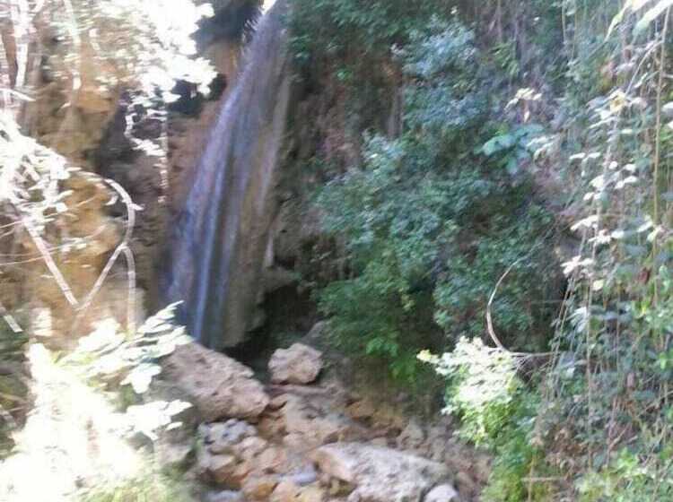 Pensión Rural Arroyo La Teja