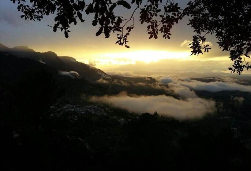 Pensión Rural Arroyo La Teja