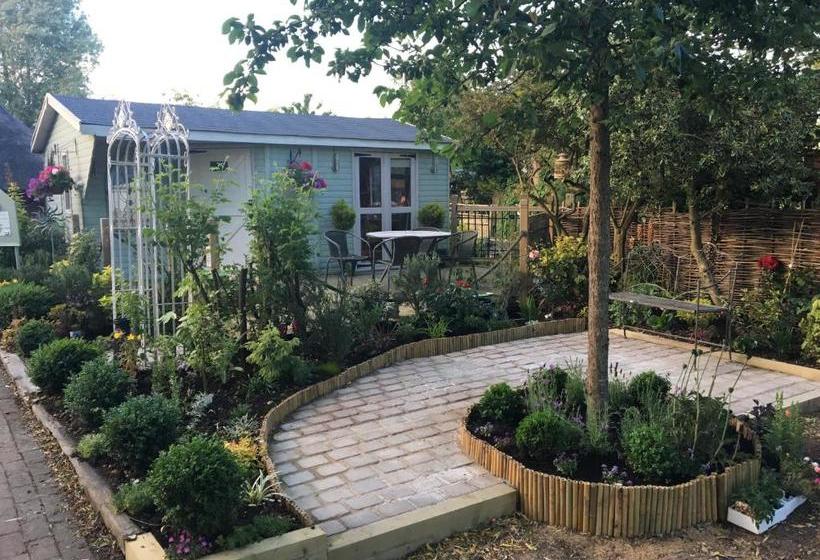 膳宿费 The Willows Guest House