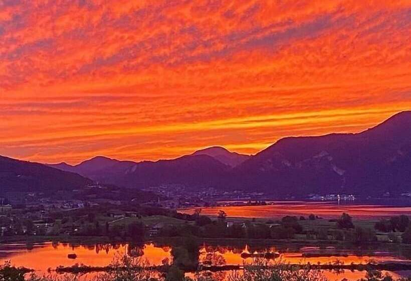 ホテル Agriturismo Forest B&b