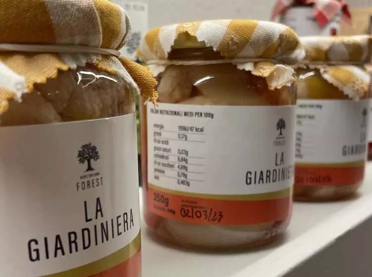 Hotelli Agriturismo Forest B&b