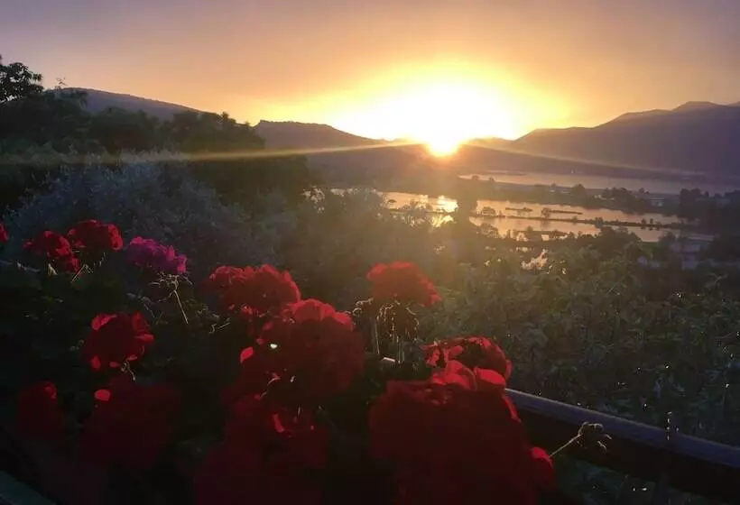 Hotelli Agriturismo Forest B&b