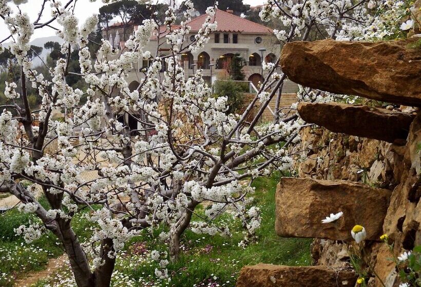 هتل Cherry Blossom Boutique