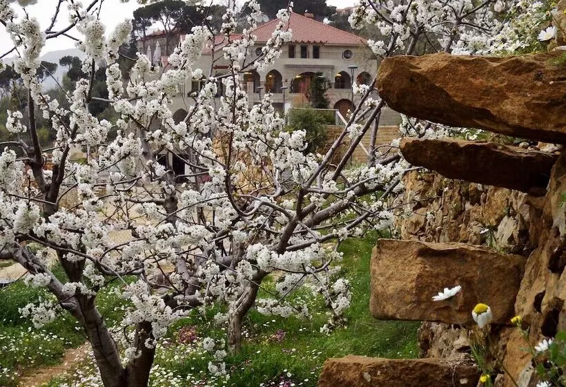 هتل Cherry Blossom Boutique