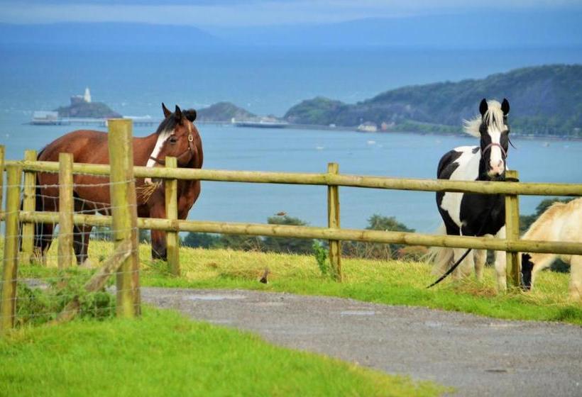 فندق Clyne Farm Centre
