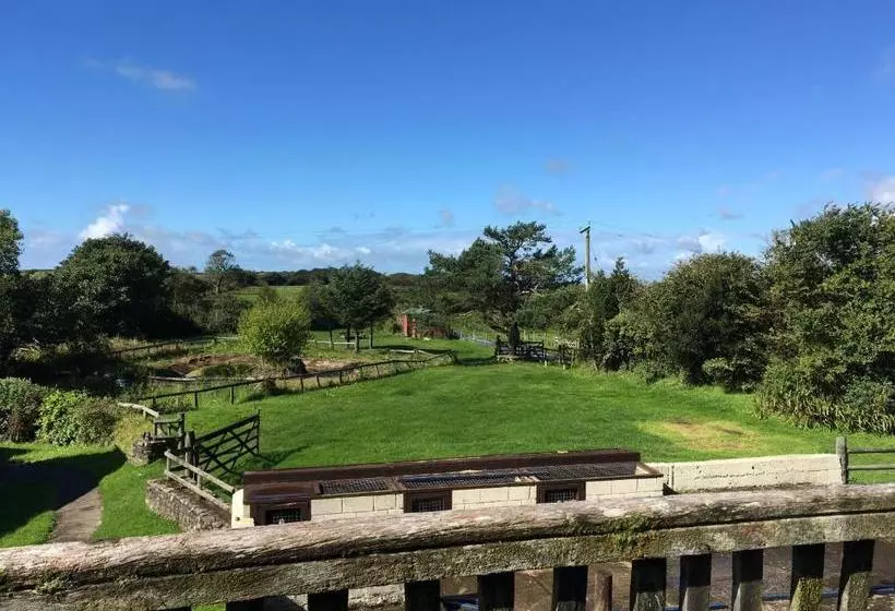 هتل Clyne Farm Centre