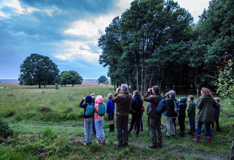 Отель T Witte Hoes