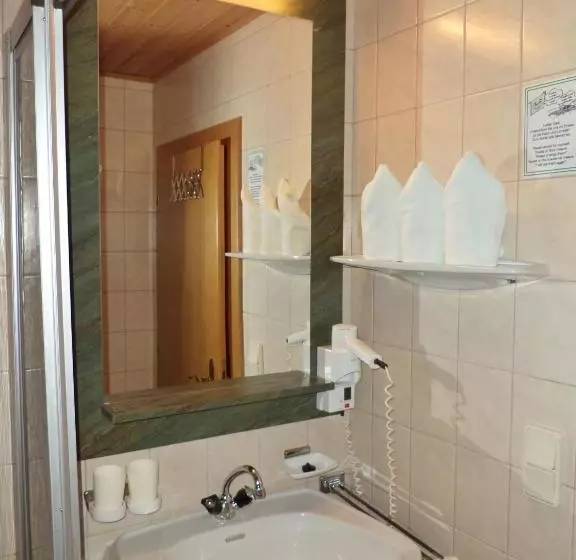 ペンション Alpenhof Schwaiger   Hotel Garni