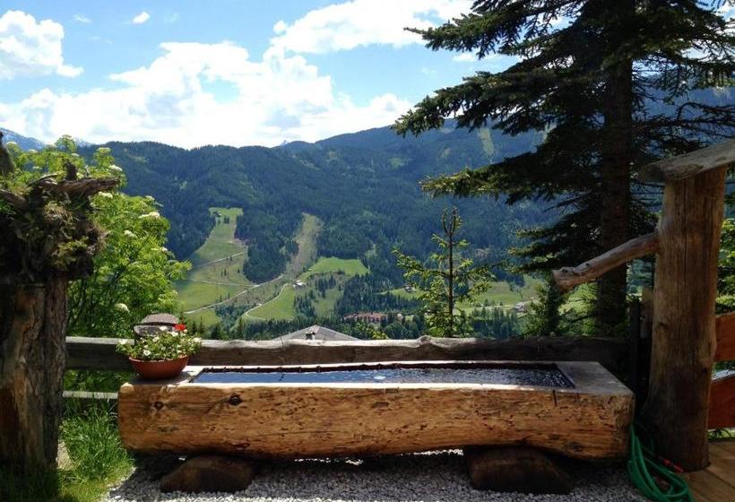 ペンション Alpenhof Schwaiger   Hotel Garni