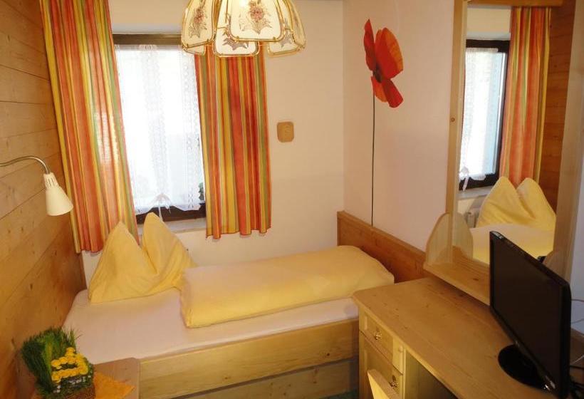 ペンション Alpenhof Schwaiger   Hotel Garni