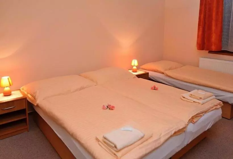 پانسیون Apartmany Broma
