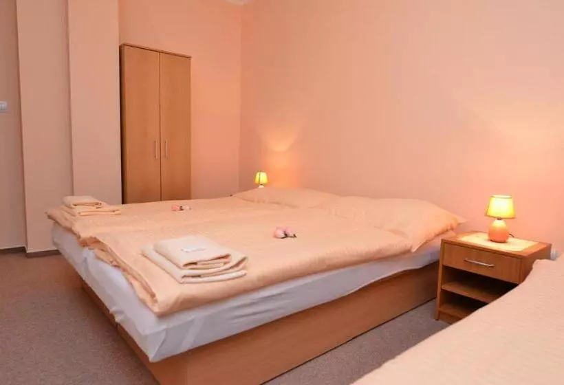 پانسیون Apartmany Broma