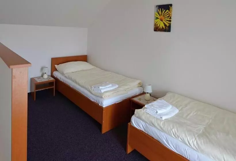 پانسیون Apartmany Broma