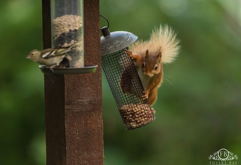 بنسيون Foyers Bay Country House