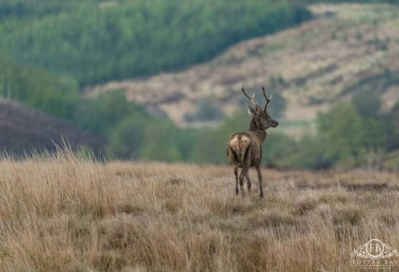 بنسيون Foyers Bay Country House
